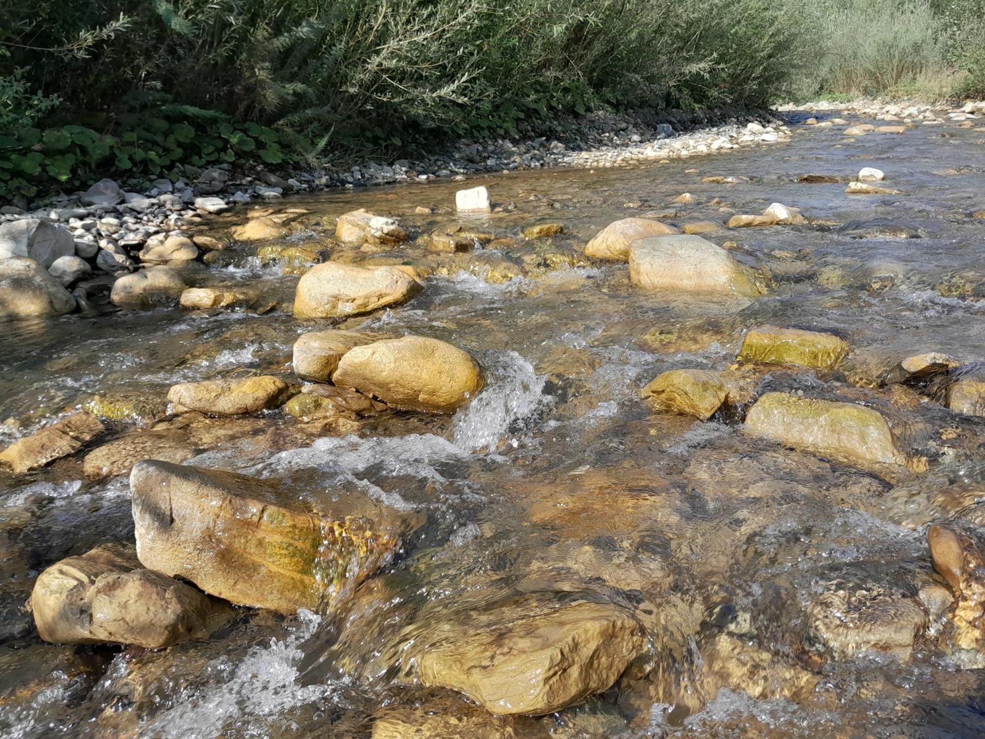 דירות Krivorovnya Мріяти מראה חיצוני תמונה